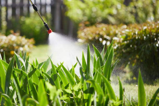 24/7 Emergency Fumigation Services experts in Shelby, MI