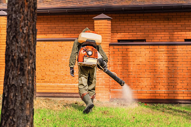 Trusted Cockroach Control service in Shelby, MI - Nex Pest Control